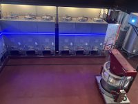 IMG 0744