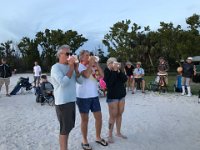 conch1